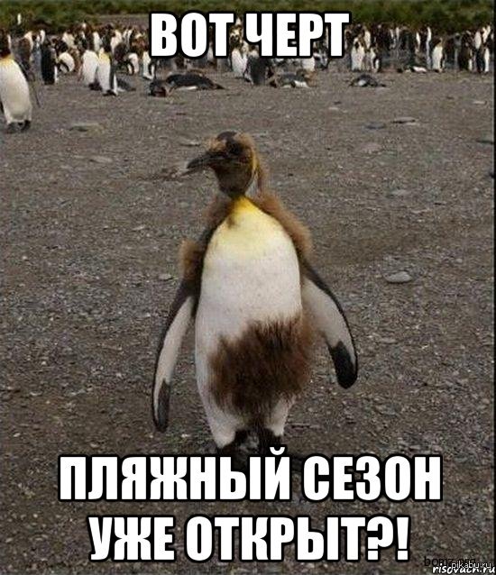 ������� �����