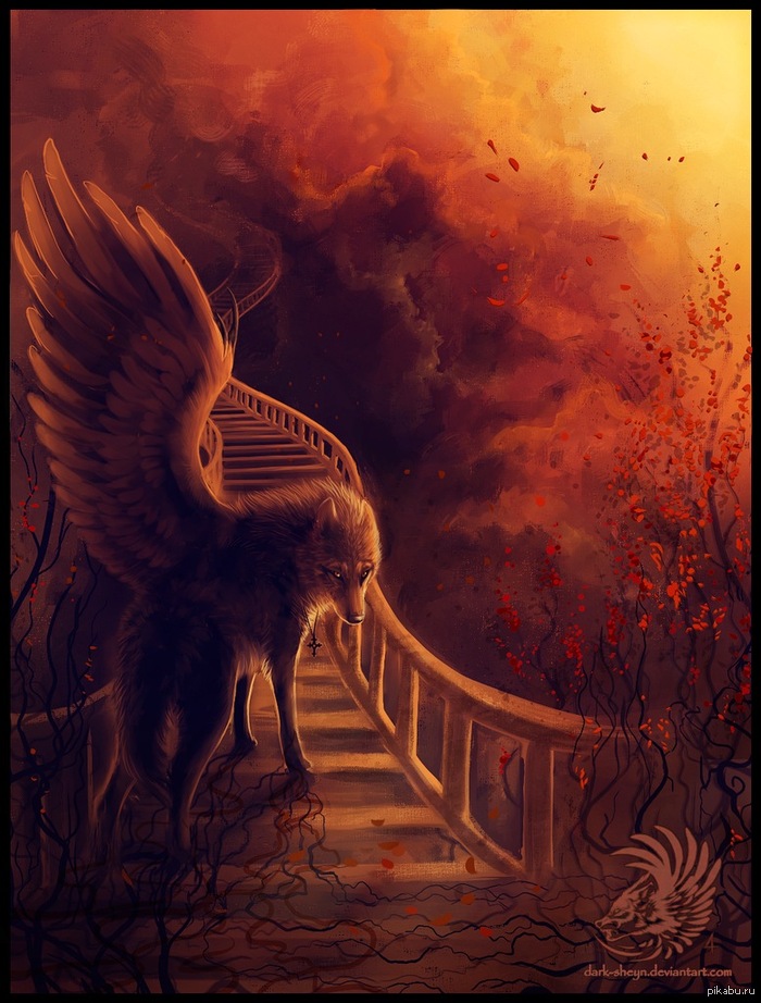    Dark-Sheyn.         http://dark-sheyn.deviantart.com/gallery/  P.S.    ,   