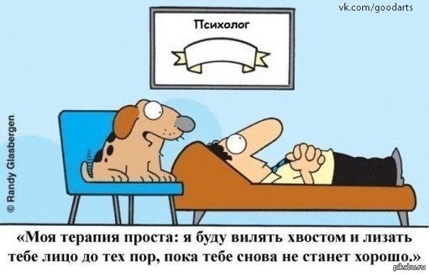 Psychotherapy from dogs - Treatment, Affection