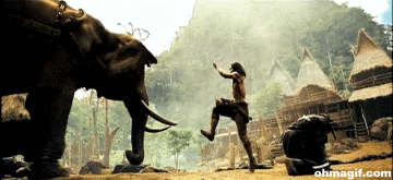 Разбежавшись, оттолкнулся от бивня и головы слона, сделал заднее сальто и ногой ударил в затылок