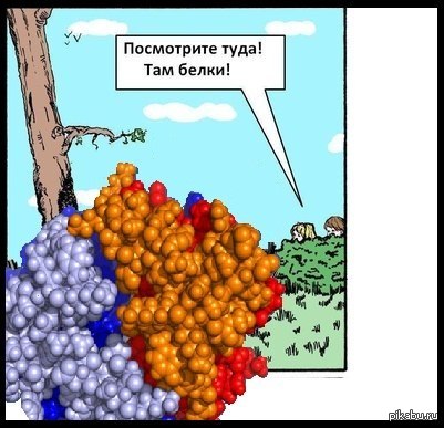 ��������, ����� ��������