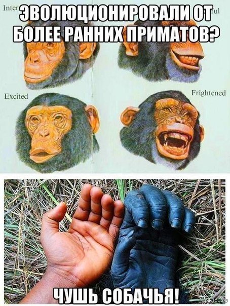 ����� ��������...