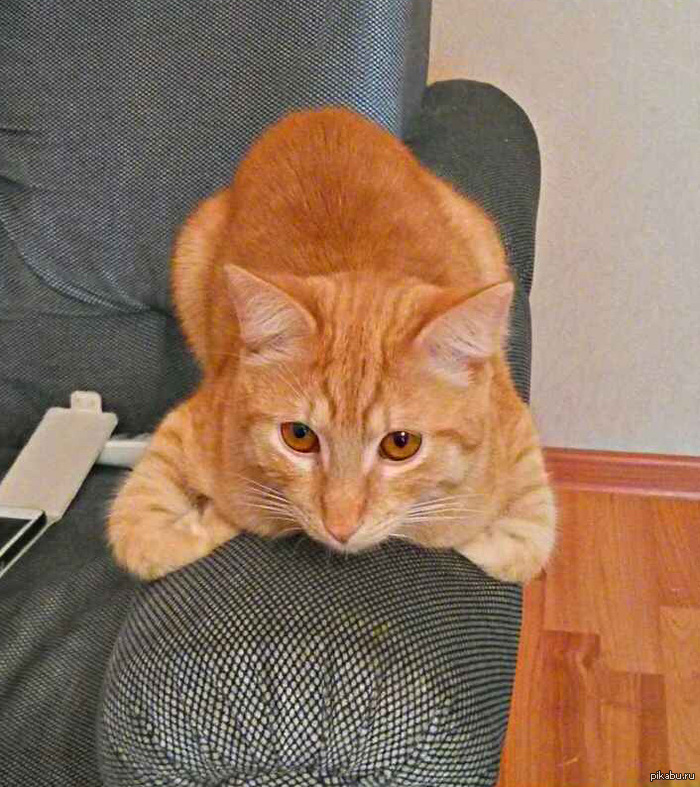 � ��? ������ ���