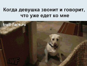 Смешные Гифы С Надписями