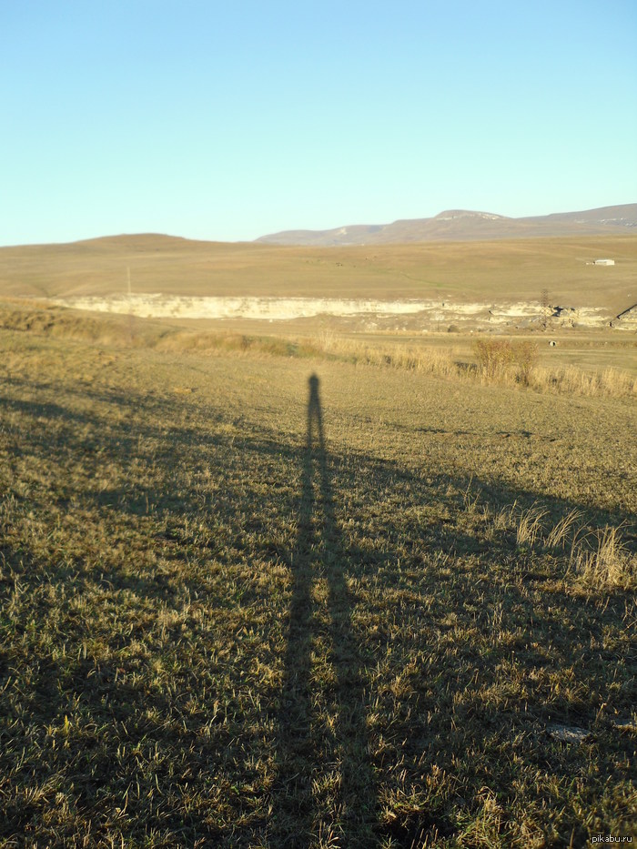 ���� ����� ����