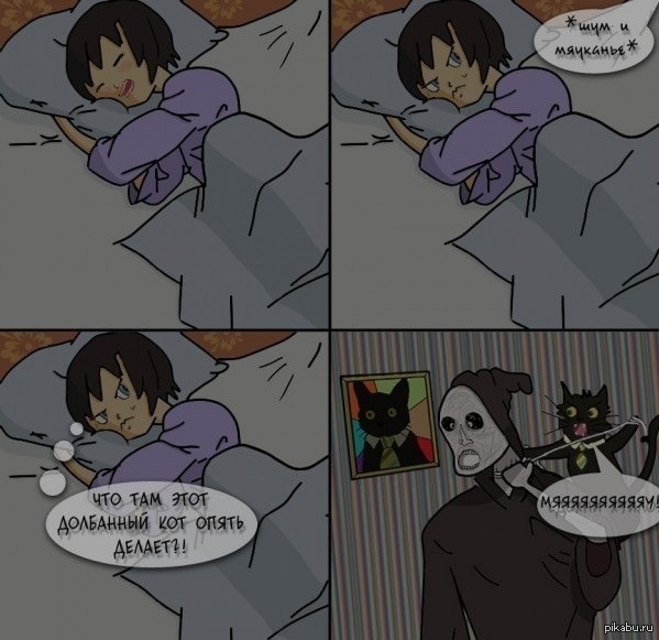 Cats don't sleep - Master, cat, Night, Protection