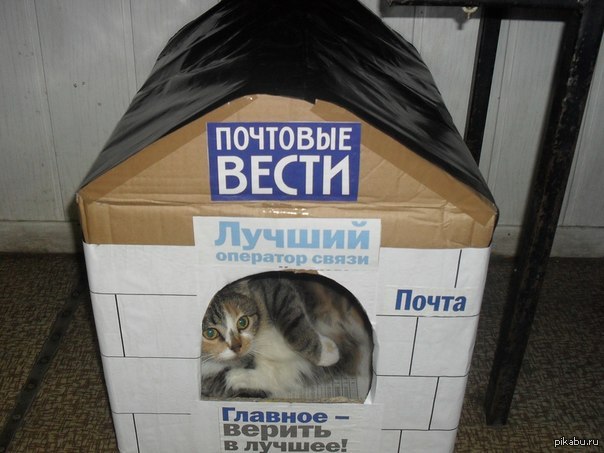 ������ �������� �����.