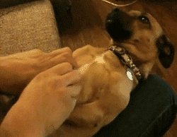 ����� ���� �������� ������� �������� ����������� "�� �������"