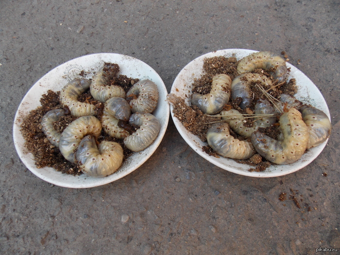 ��� ����� � ������ ���...