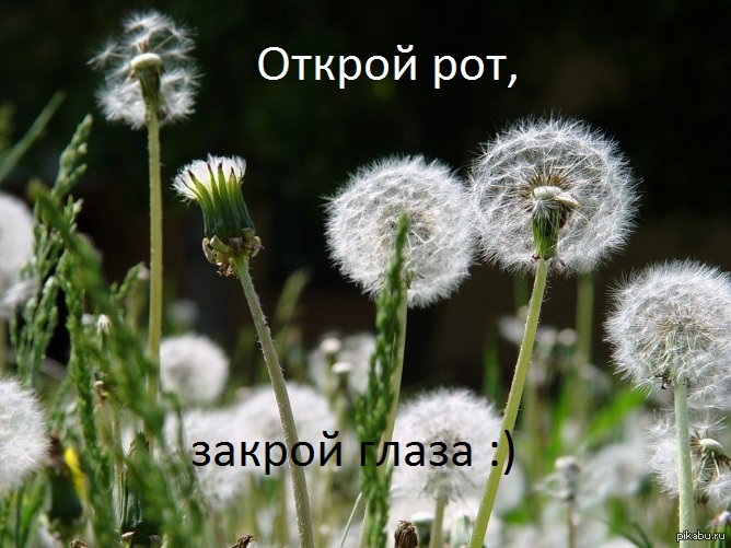 ������ ��� ����� ���� ����� �������, ...
