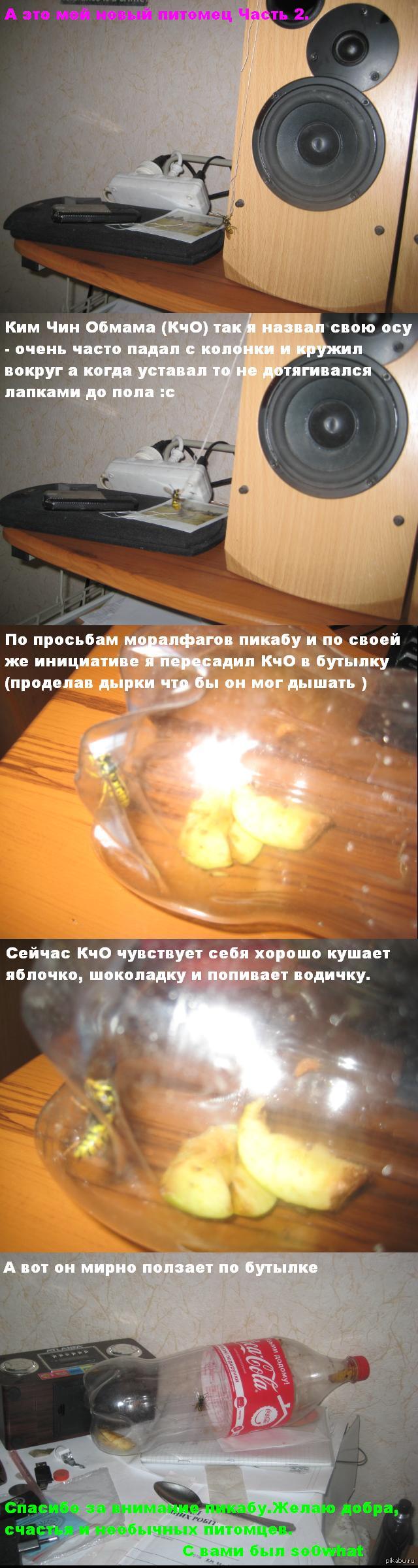      2. http://pikabu.ru/story/a_yeto_moy_novyiy_pitomets_1216822    1  .