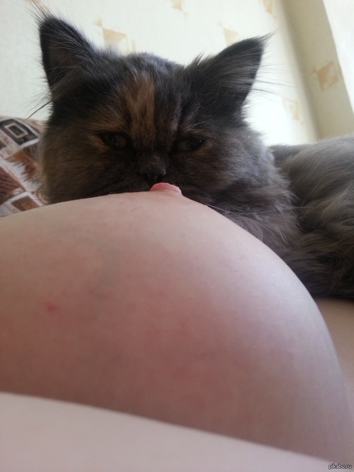 Cat vs Tits - NSFW, My, Boobs, Erotic, cat, Homemade