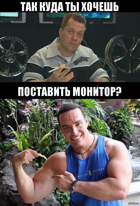 ���������� �����, ���� ������� "���������"