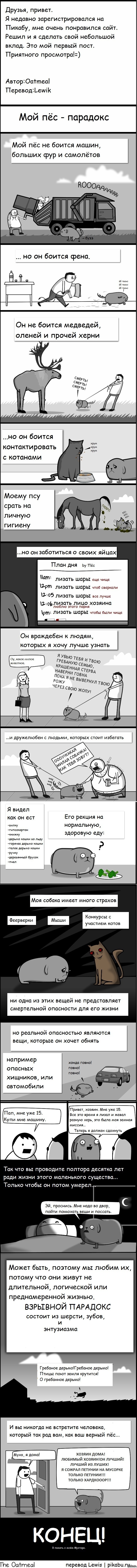 Читать Мангу Ко Мне Мой Песик