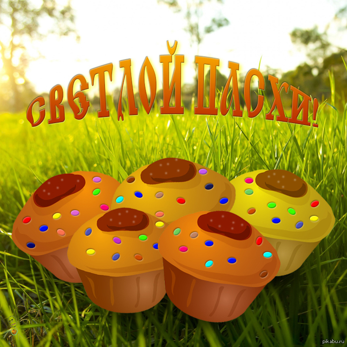 � ����������, �����������!