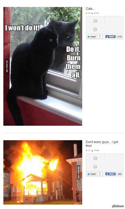   9Gag 