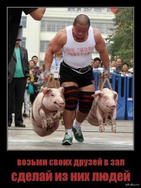 Всем мотивация, пацаны хD
