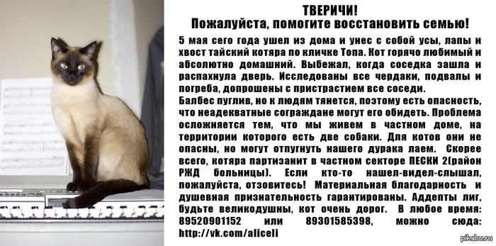 ������ ������! ������ �������: �� ��������, �� ������, ���.