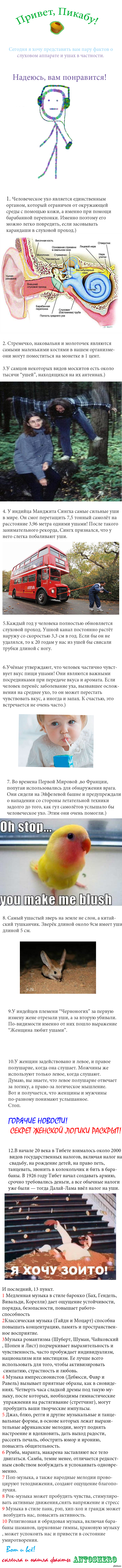 Ох уж эти уши...