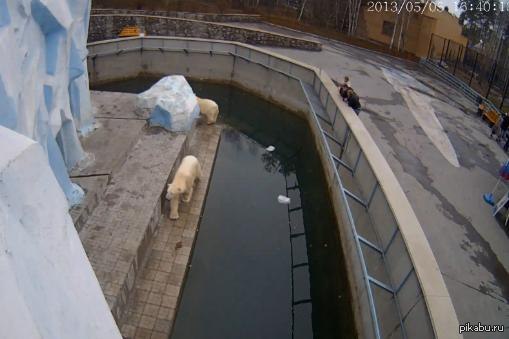 ����� �������. ������������� �������