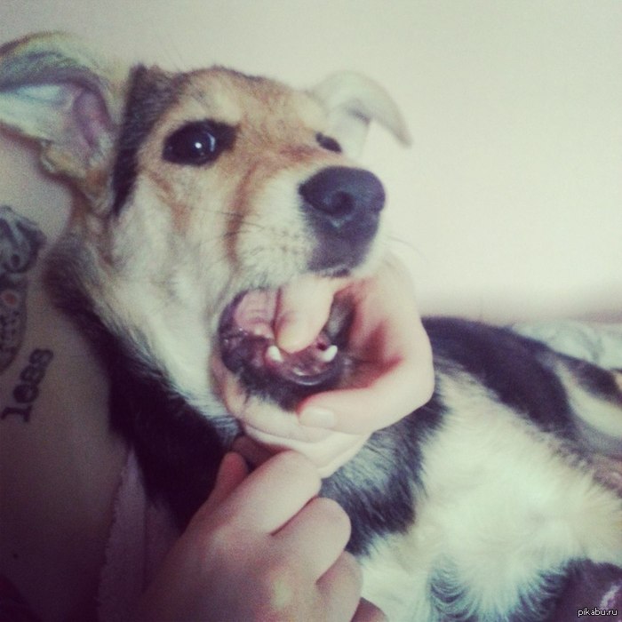 Новосибирск! Нужна помощь!