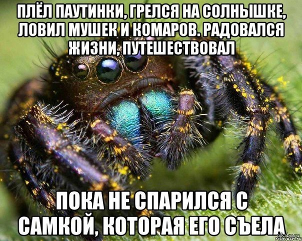 ������ :3
