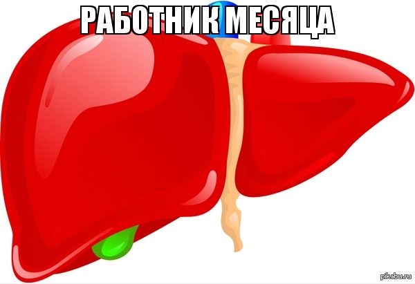 лучший работник месяца печень. Смотреть фото лучший работник месяца печень. Смотреть картинку лучший работник месяца печень. Картинка про лучший работник месяца печень. Фото лучший работник месяца печень