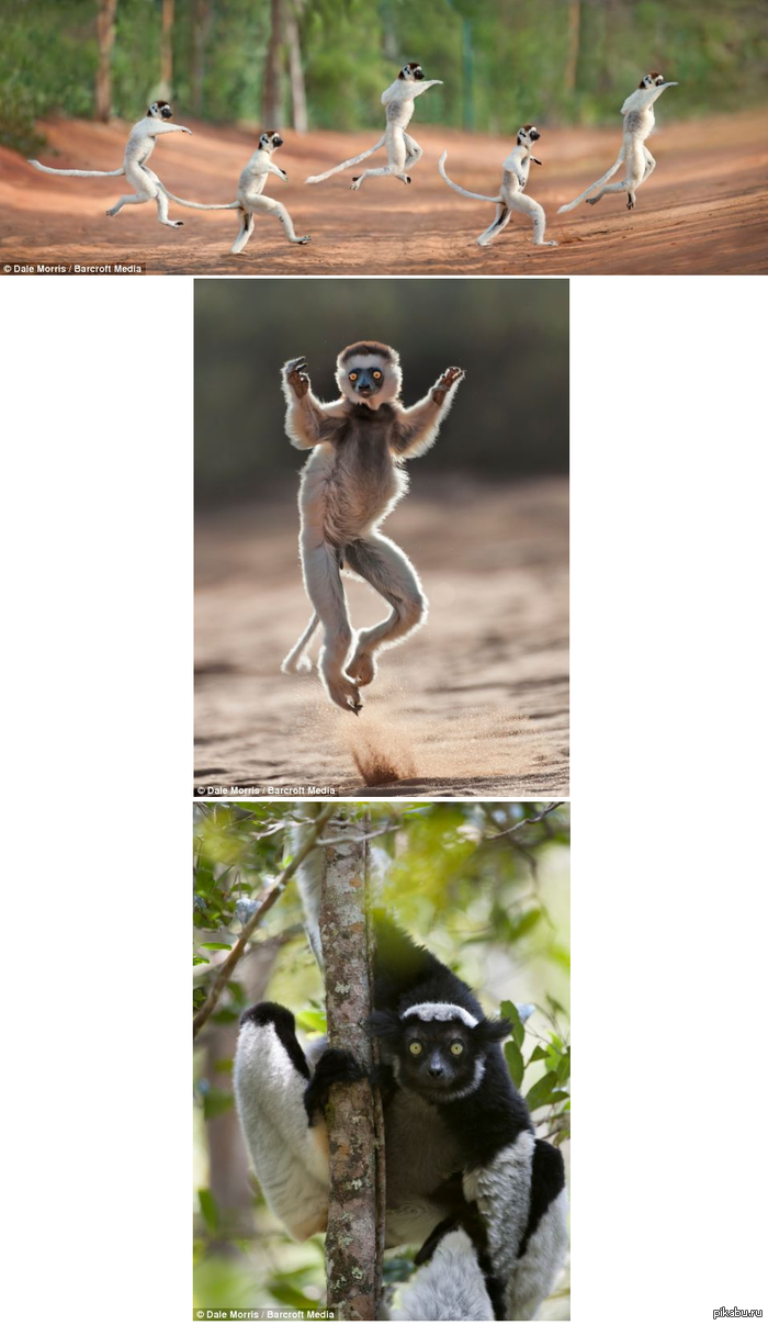 ��� �������� � ��������� ������ �������.