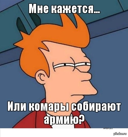 �������� ���