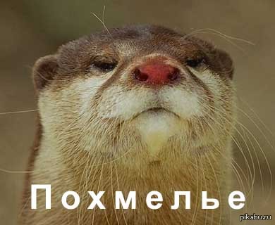 �����������.