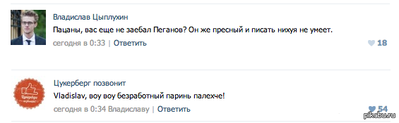 Воу Воу Цыплухин палехче