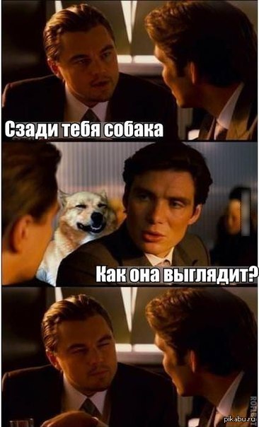 Нечего шкила мем. А как она выглядит то. Диагностическая карта техосмотра для страховки как выглядит. А как она выглядит то. Смешные афоризмы и высказывания.