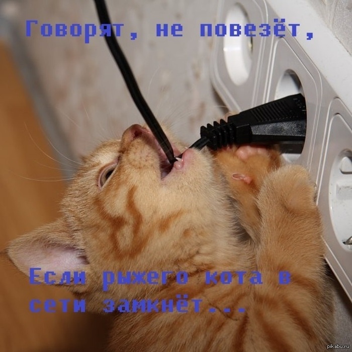 ׸���� ����-����.