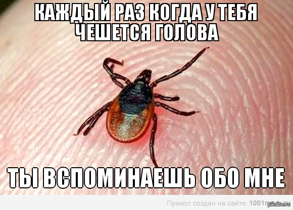 ����� ���