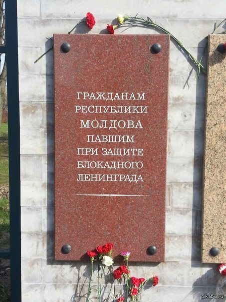 Порадовало, как-никак.