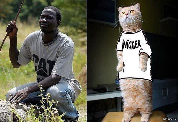 Funny Nigger Pics