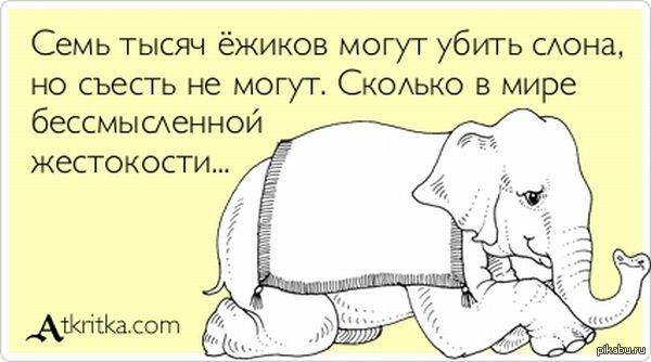 жестокость и не справедливость(((