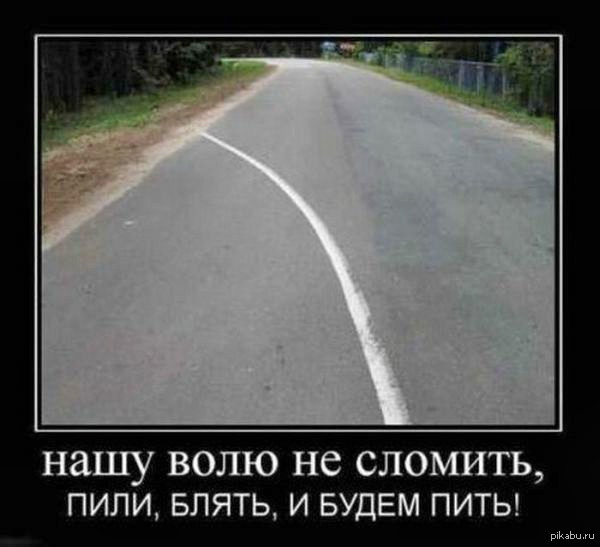 Дураки,дороги и .... | Пикабу