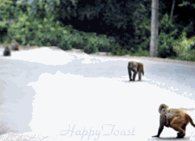 ���-�� �� ��� ������, � �������������