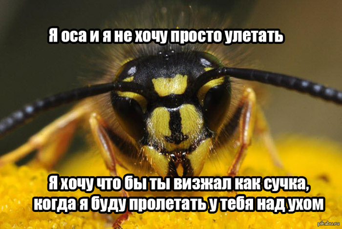 ��� ������ �����.