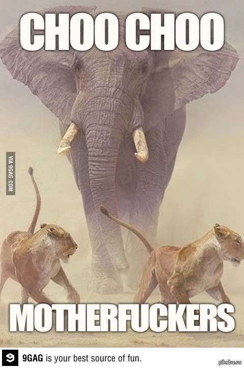 И кто теперь Король?