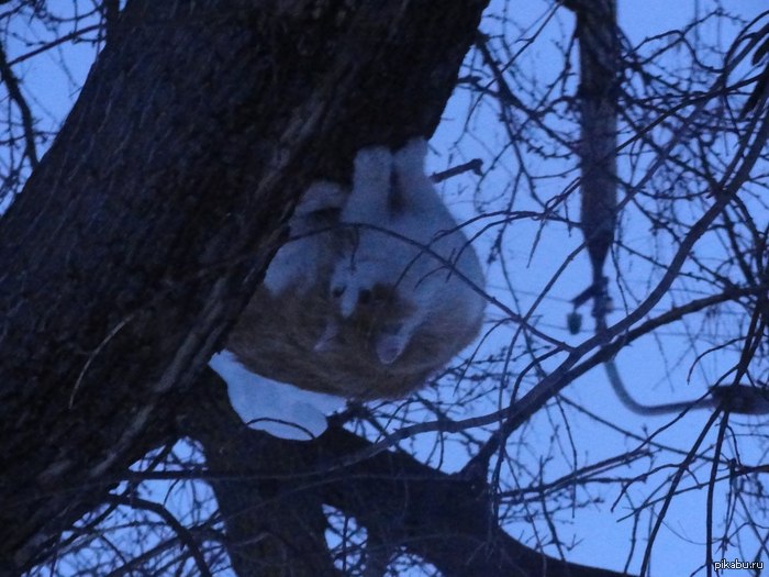 ����� ��� � ������ ����������� �� �����