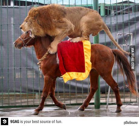 ��� �� ���� ����...