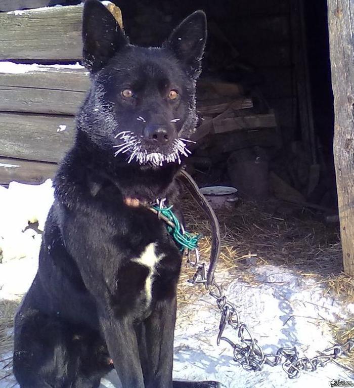 Понимаю отхвачу минусов но если ли на пикабу жители маленького городка возле Киева?:) Город Белая Церковь:)