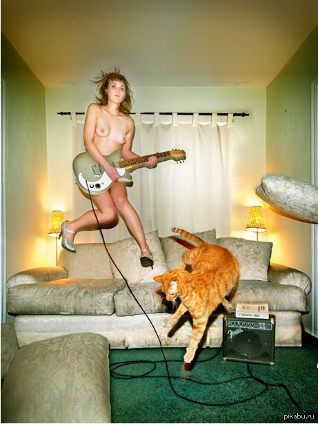 The whole essence of the Internet in one picture - NSFW, Rock, cat, Mathematics, , Female, Naked, , Women