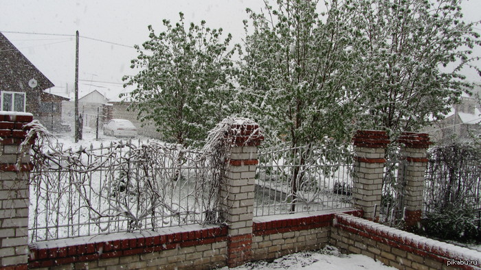 ��������� ����. �������. 11 ���.