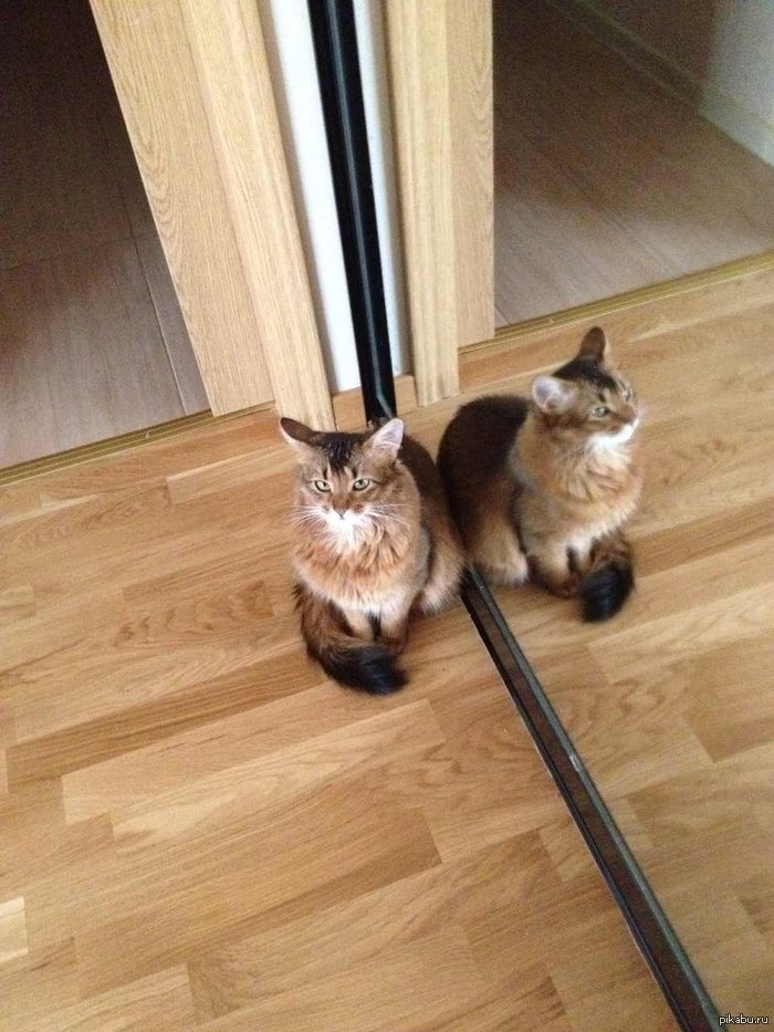 � ��� ������ ���� ������?