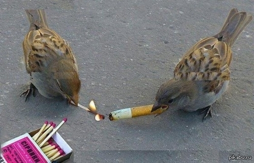 �, �������! ����� ����!