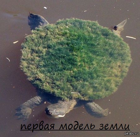 первый глобус