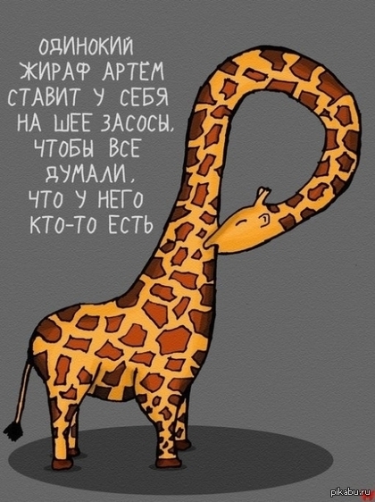  ( 